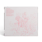 James Jean Coral Skeletor and Panthor