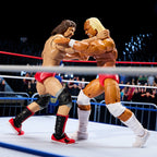 WWE Coliseum Collection Hulk Hogan & Terry Funk Ultimate Edition Figures