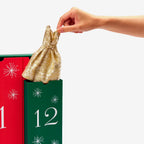 Barbie 12 Days of Christmas Doll and Accessories